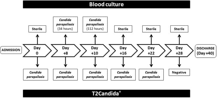 A chart showing how the T2Candida was able to identify pathogens faster than blood cultures